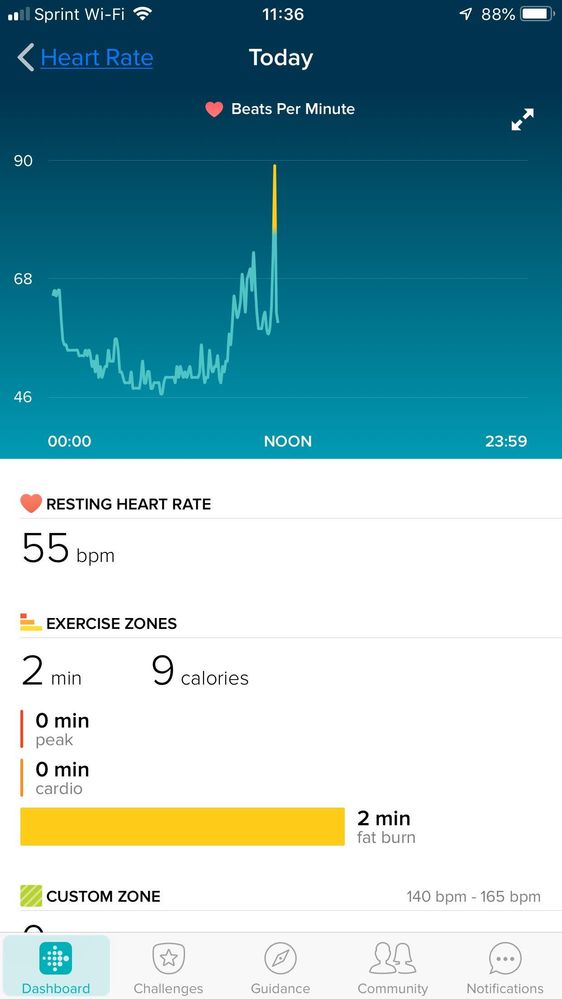 Fitbit1.jpg