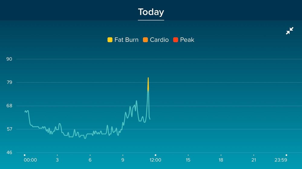 This screen shot shows the heart rate recorded during the course of the day.
