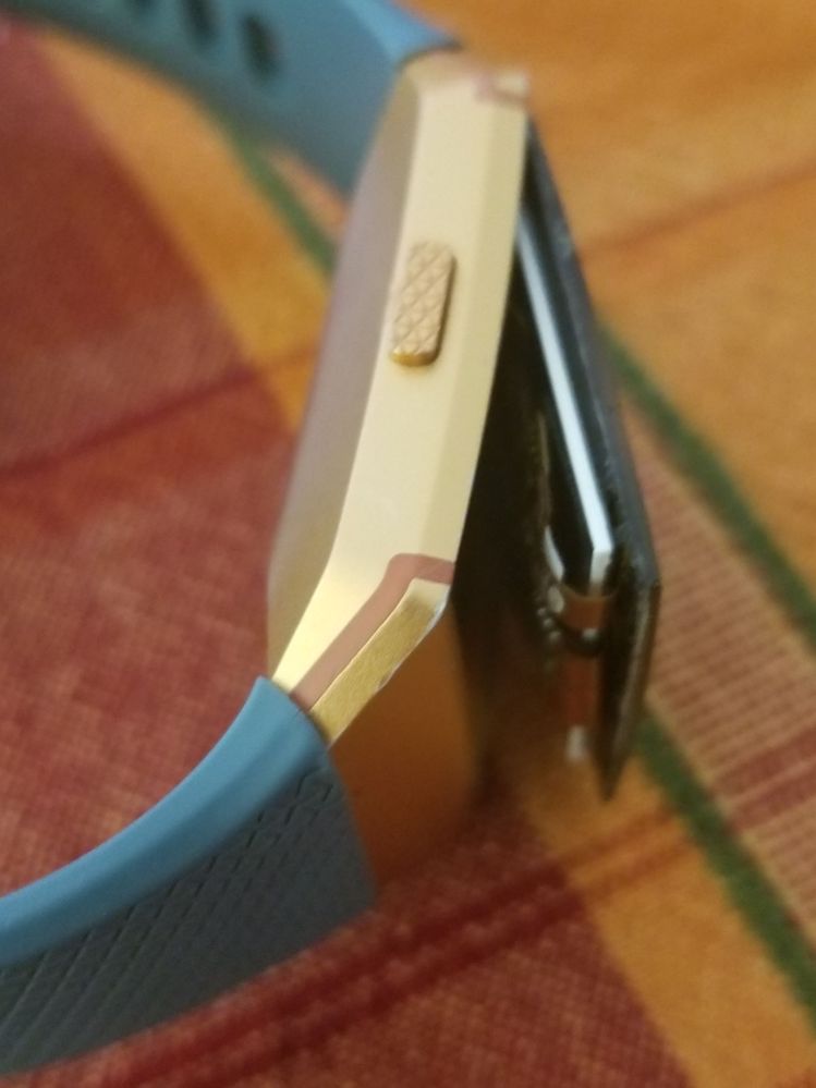 20181123_134233.jpg