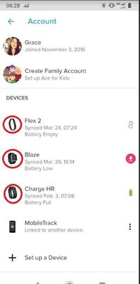 Icône appareils Fitbit