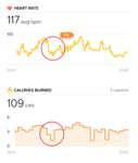 heart rate chart.png