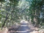 backtrail1.jpg