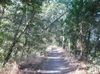 backtrail1.jpg