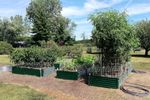 Gardens.jpg