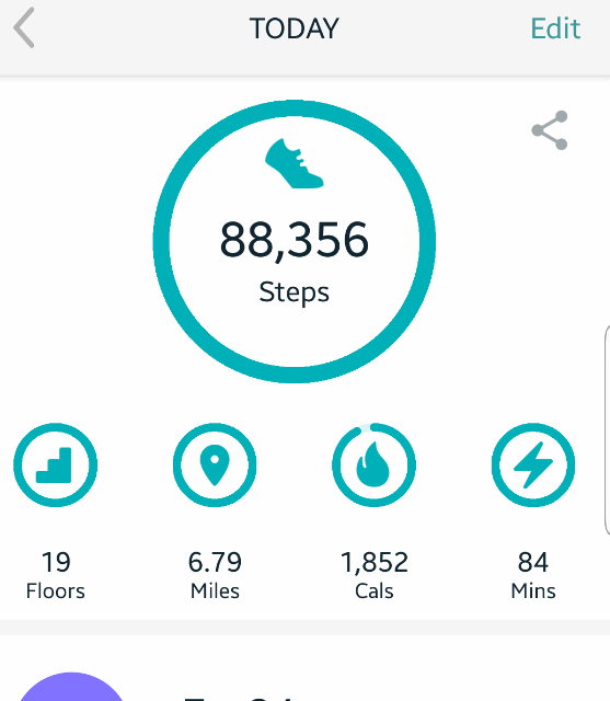 fitbit app step counter