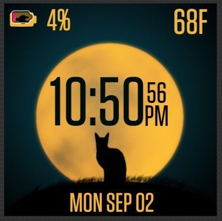 Fitbit cat clock discount face