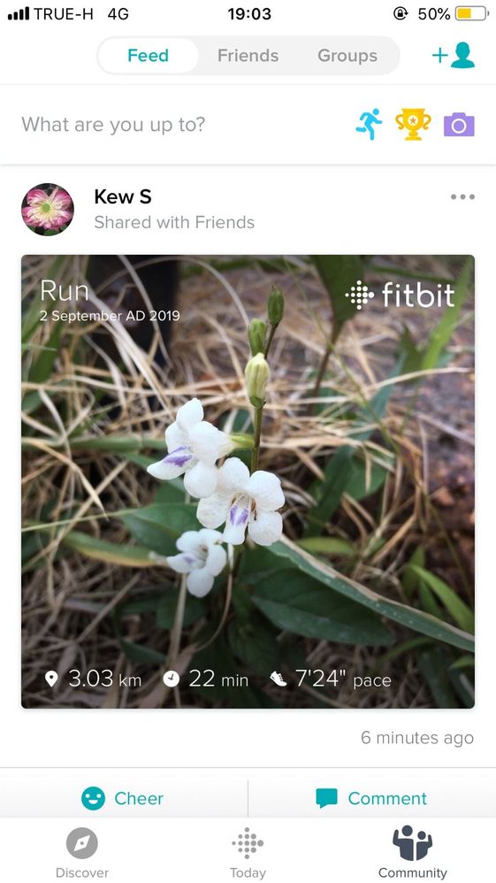distance on the photo