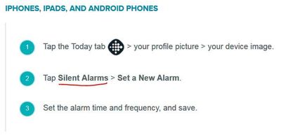 Where is Silent Alarm in the Fitbit App?